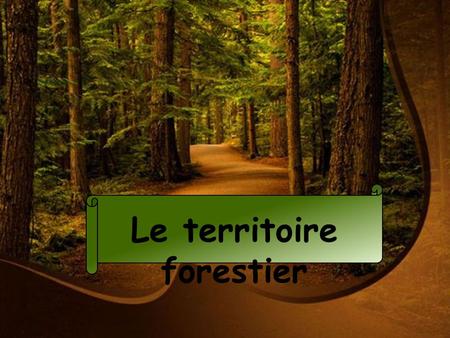 Le territoire forestier