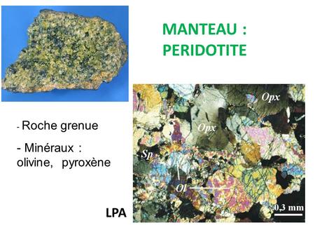 MANTEAU : PERIDOTITE Roche grenue Minéraux : olivine, pyroxène LPA.