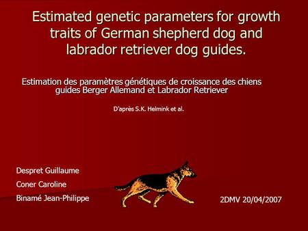 Estimated genetic parameters for growth traits of German shepherd dog and labrador retriever dog guides. Estimation des paramètres génétiques de croissance.