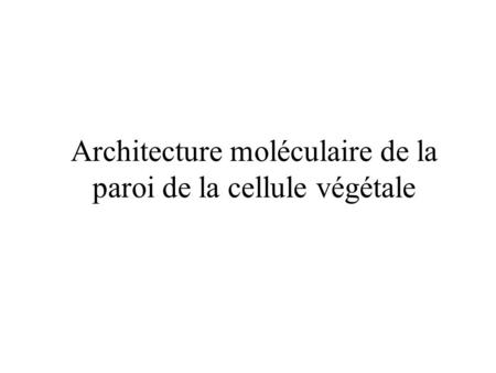 Architecture moléculaire de la paroi de la cellule végétale