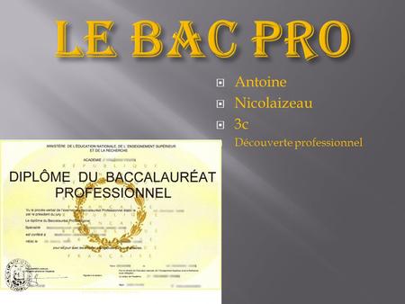 Le bac pro Antoine Nicolaizeau 3c Découverte professionnel.