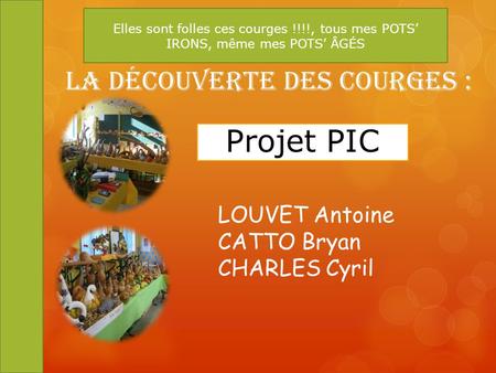 Projet PIC La Découverte des Courges : LOUVET Antoine CATTO Bryan