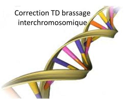 Correction TD brassage interchromosomique