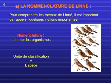 a) LA NOMMENCLATURE DE LINNE :