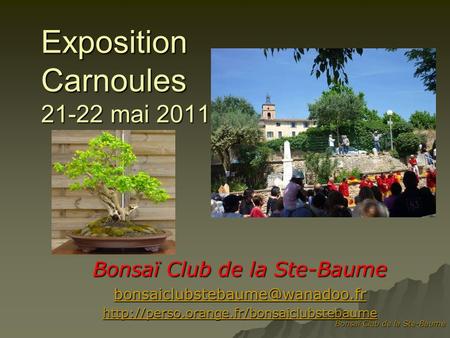Exposition Carnoules mai 2011