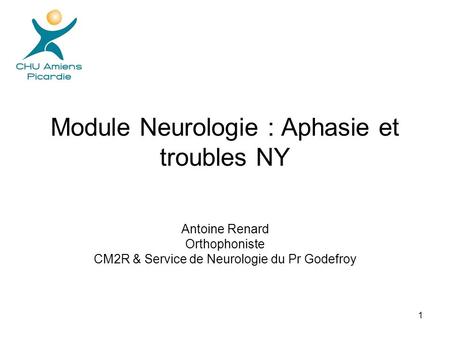 Module Neurologie : Aphasie et troubles NY
