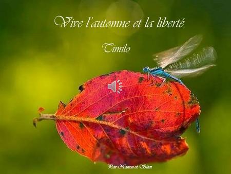 Vive l’automne et la liberté Timilo Par Nanou et Stan.