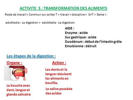 ACTIVITE 5 : TRANSFORMATION DES ALIMENTS