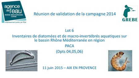 Lot 6 Inventaires de diatomées et de macro-invertébrés aquatiques sur le bassin Rhône Méditerranée en région PACA (Dpts 04,05,06) 11 juin 2015 – AIX EN.