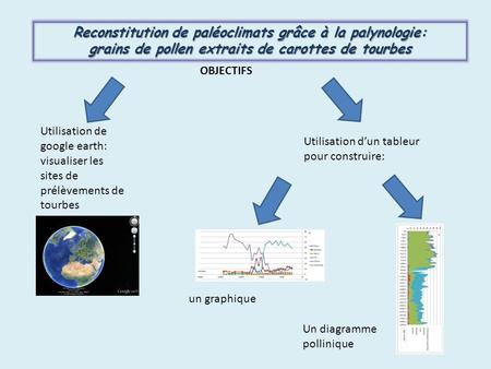 Reconstitution de paléoclimats grâce à la palynologie: