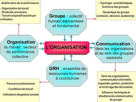 L’ORGANISATION Groupe : collectif humain élémentaire et fondamental