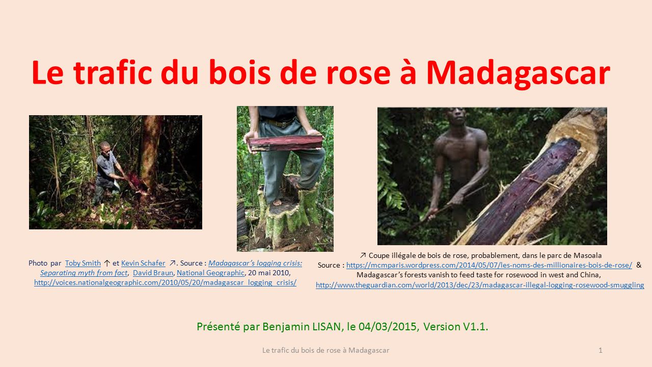 Madagascar's forests vanish to feed taste for rosewood in west and China, Madagascar