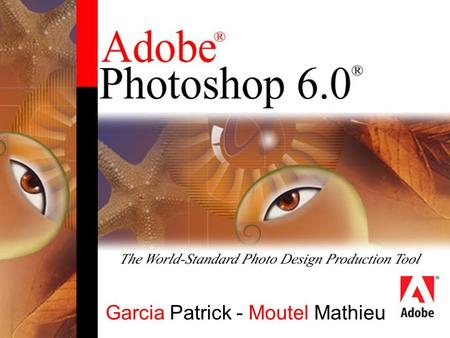 Garcia Patrick - Moutel Mathieu. SOMMAIRE Introduction à Photoshop Les différents formats d’images L’espace de travail Les calques Les filtres.