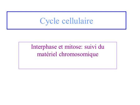 Interphase et mitose: suivi du matériel chromosomique