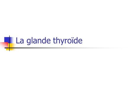 La glande thyroïde.