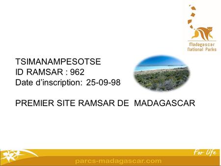 TSIMANAMPESOTSE ID RAMSAR : 962 Date d’inscription: 25-09-98 PREMIER SITE RAMSAR DE MADAGASCAR.