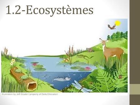 1.2-Ecosystèmes.