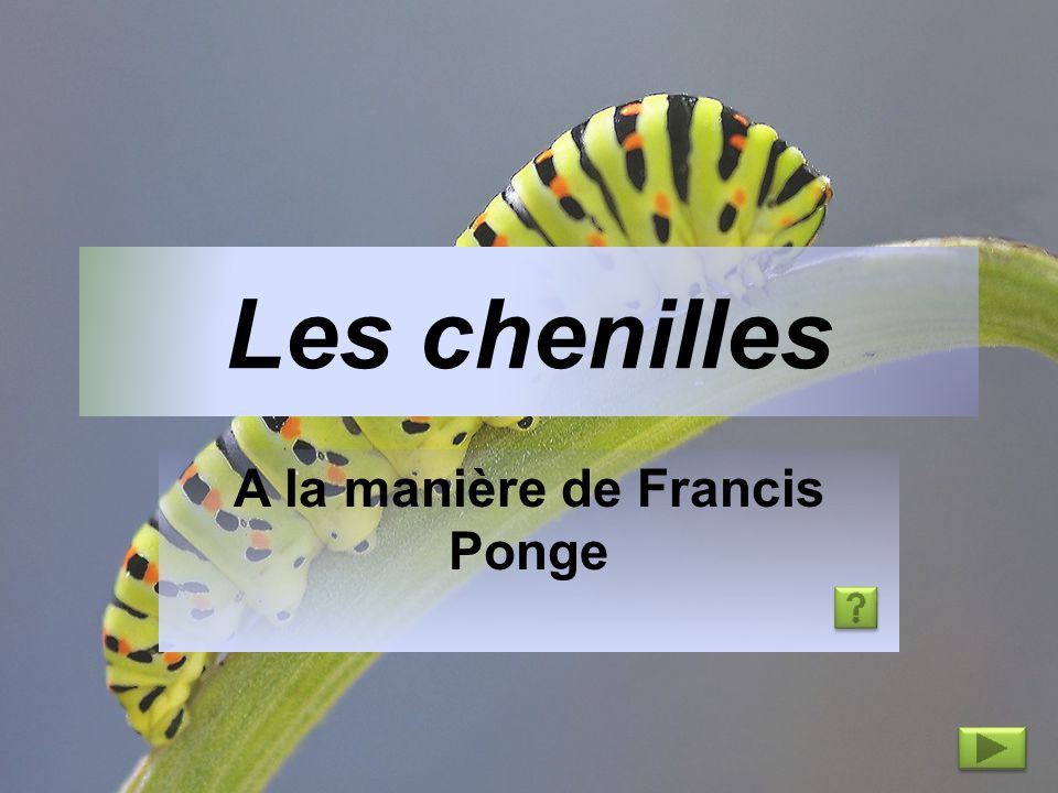 A La Maniere De Francis Ponge Ppt Video Online Telecharger