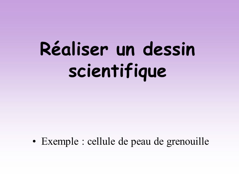 Realiser Un Dessin Scientifique Ppt Video Online Telecharger