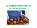 Un verger participatif pour la commune de M.. Un verger participatif : Pour qui et pour quoi faire ? Faire (re)découvrir la cueillette des pommes abondamment.