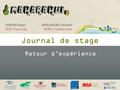 Journal de stage Retour d’expérience DERORE Sylvie ULM-Tournai VERSCHEURE Christian HEPH-Condorcet.