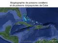 Biogéographie de poissons coralliens et de poissons dulçaquicoles de Cuba.