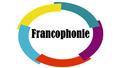 Francophonie D’où ça vient? le mot francophonie était utilisé pour description par les géographes en 1880 désignait la France et Algérie et colonies.