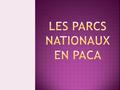 La Provence-Alpes-Côte d’Azur regroupe 3 parcs nationaux: PARC NATIONAL DE PORT-CROS PARC NATIONAL DU MERCANTOUR PARC NATIONAL DES ÉCRINS.