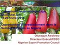 Opportunités d’Investissement dans le Secteur du Cajou au Nigeria Olusegun Awolowo Directeur Exécutif/CEO Nigerian Export Promotion Council Convention.