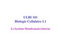 ULBI 101 Biologie Cellulaire L1 Le Système Membranaire Interne.