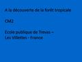 A la découverte de la forêt tropicale CM2 Ecole publique de Trevas – Les Villettes - France.