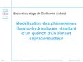CEA DSM Dapnia SACM 23/08/07- Guillaume Aubard – Modélisation des phénomènes thermo hydrauliques résultant d’un quench d’un aimant supraconducteur.1 Modélisation.