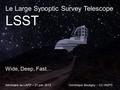 Le projet LSST 21 juin 20131 Le Large Synoptic Survey Telescope LSST Wide, Deep, Fast… Dominique Boutigny – CC-IN2P3Séminaire au LAPP – 21 juin 2013.