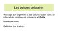 Les cultures cellulaires