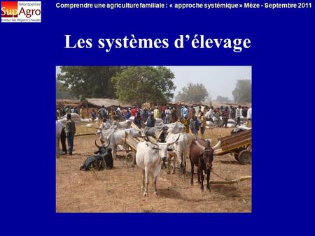 Comprendre une agriculture familiale : « approche systémique » Mèze - Septembre 2011 Les systèmes d’élevage.