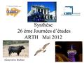 Synthèse 26 éme Journées d’études ARTH Mai 2012 Geneviève Robles.