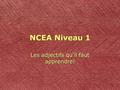 NCEA Niveau 1 Les adjectifs qu’il faut apprendre!