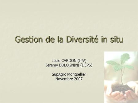 Gestion de la Diversité in situ Lucie CARDON (IPV) Jeremy BOLOGNINI (DEPS) SupAgro Montpellier Novembre 2007.
