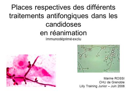 Places respectives des différents traitements antifongiques dans les candidoses en réanimation Immunodéprimé exclu Marine ROSSI CHU de Grenoble Lilly.