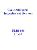Cycle cellulaire: Interphase et divisions