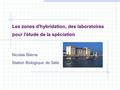 Les zones d'hybridation, des laboratoires pour l'étude de la spéciation Nicolas Bierne Station Biologique de Sète.