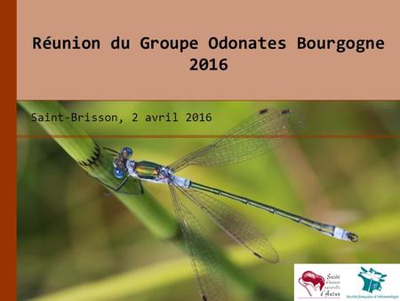 Réunion du Groupe Odonates Bourgogne 2016 Saint-Brisson, 2 avril 2016.