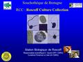 Souchothèque de Bretagne RCC : Roscoff Culture Collection