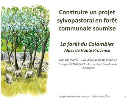 Construire un projet sylvopastoral en forêt communale soumise La forêt du Colombier Alpes de Haute Provence Jean Luc JARDIN – ONF Alpes de Haute Provence.