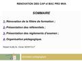 RENOVATION DES CAP et BAC PRO MVA Animation pédagogique SOMMAIRE 1-1- Rénovation de la filière de formation ; 2-2- Présentation des référentiels ; 3-3-