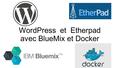WordPress et Etherpad avec BlueMix et Docker. But: réussir à faire fonctionner ces deux services très connus et utilisés dans bluemix, en se servant de.