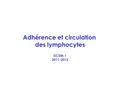 Adhérence et circulation des lymphocytes DCEM-1 2011-2012.