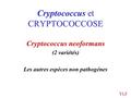 Cryptococcus et CRYPTOCOCCOSE