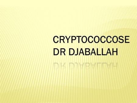 CRYPTOCOCCOSE DR DJABALLAH.