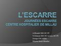 L’Escarre Journées ESCARRE Centre hospitalier de MILLAU